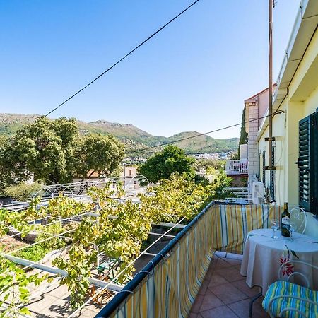Apartments Lidija Zaton  Dış mekan fotoğraf